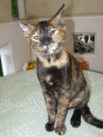 gatakia, iounios 2011 027.jpg