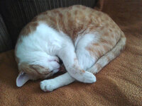 2011-04-18 09.10.21.jpg