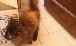 2011-08-03 14.24.58.jpg