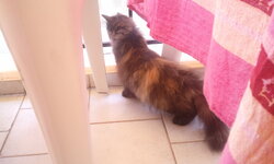 2011-08-03 14.25.31.jpg