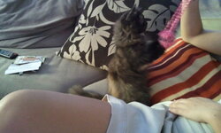 2011-08-03 16.57.35.jpg