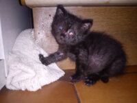 DSC00242 - Αντίγραφο - Αντίγραφο.jpg