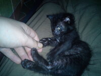 DSC00219 - Αντίγραφο - Αντίγραφο.jpg