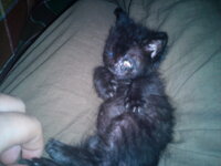 DSC00220 - Αντίγραφο - Αντίγραφο.jpg