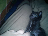 DSC00221 - Αντίγραφο - Αντίγραφο.jpg