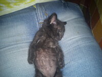 DSC00234 - Αντίγραφο - Αντίγραφο.jpg