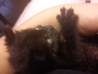 DSC00194 - Αντίγραφο - Αντίγραφο.jpg