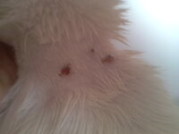 2011-08-26 15.25.07.jpg