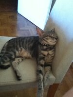 φωτογραφία (1).JPG