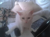 2011-09-06 18.20.15.jpg