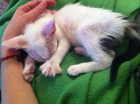 φωτογραφία (5).JPG