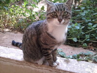 2011-11-04 15.00.52.jpg