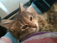 φωτογραφία (5).JPG