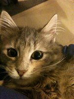 φωτογραφία (6).JPG