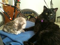 φωτογραφία (7).JPG