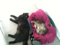 φωτογραφία (9).JPG