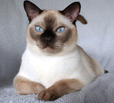 champagne point2.jpg