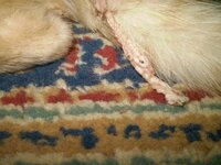 Αντίγραφο από P6120571.JPG