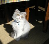 Αντίγραφο (2) από P2197883.JPG