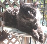 ANU2Y_006.jpg ANU2Y_006.jpg