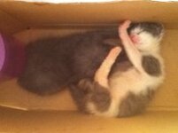 GetAttachment (2).jpg