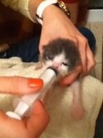 GetAttachment (3).jpg