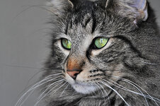 Three years minus two weeksg.JPG