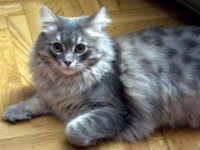 _MG_0923-001.jpg _MG_0923-001.jpg