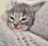 Aeolus 8 days oldg.JPG