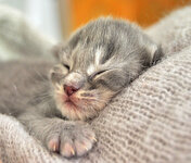 Aeolus 8 days oldj.JPG