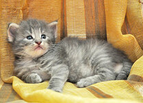 Aeolus 24 days old.JPG