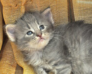 Aeolus 24 days olda.JPG