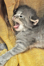 Aeolus 24 days oldb.JPG