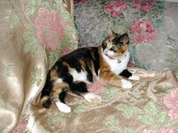 DSCN5930.JPG DSCN5930.JPG