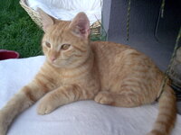 Εικόνα100.jpg Εικόνα100.jpg