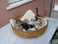 P6280071 resized.JPG