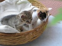 P6280037 resized.JPG