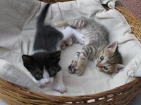 P6280055 resized.JPG