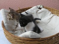 P6280061 resized.JPG