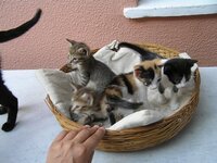 P6280064 resized.JPG