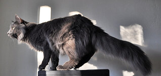 10 months one weeka.JPG