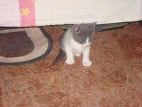 DSC05274.jpg DSC05274.jpg