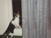 DSC05508.JPG DSC05508.JPG