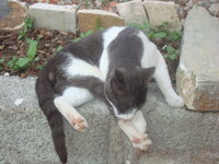 DSC05858.JPG DSC05858.JPG