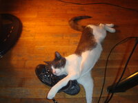 DSC05517.JPG DSC05517.JPG