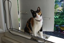 mpriam 2 (640x430).jpg