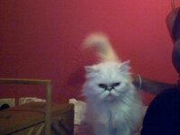 Snapshot_20110930.JPG Snapshot_20110930.JPG