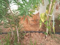 2012-09-08 12.53.18.jpg