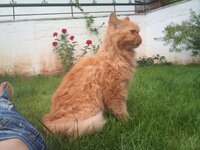 2012-09-08 12.45.30.jpg