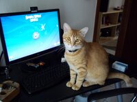 Εικόνα 014.jpg